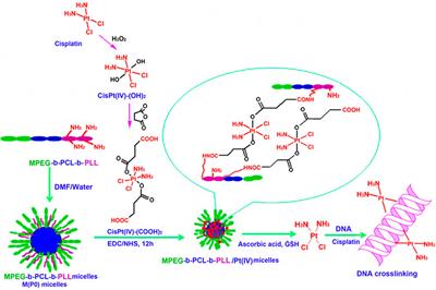 Micelles Based on Lysine, Histidine, or Arginine: Designing Structures for Enhanced Drug Delivery